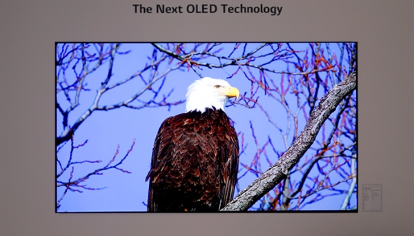 www.thelec.net